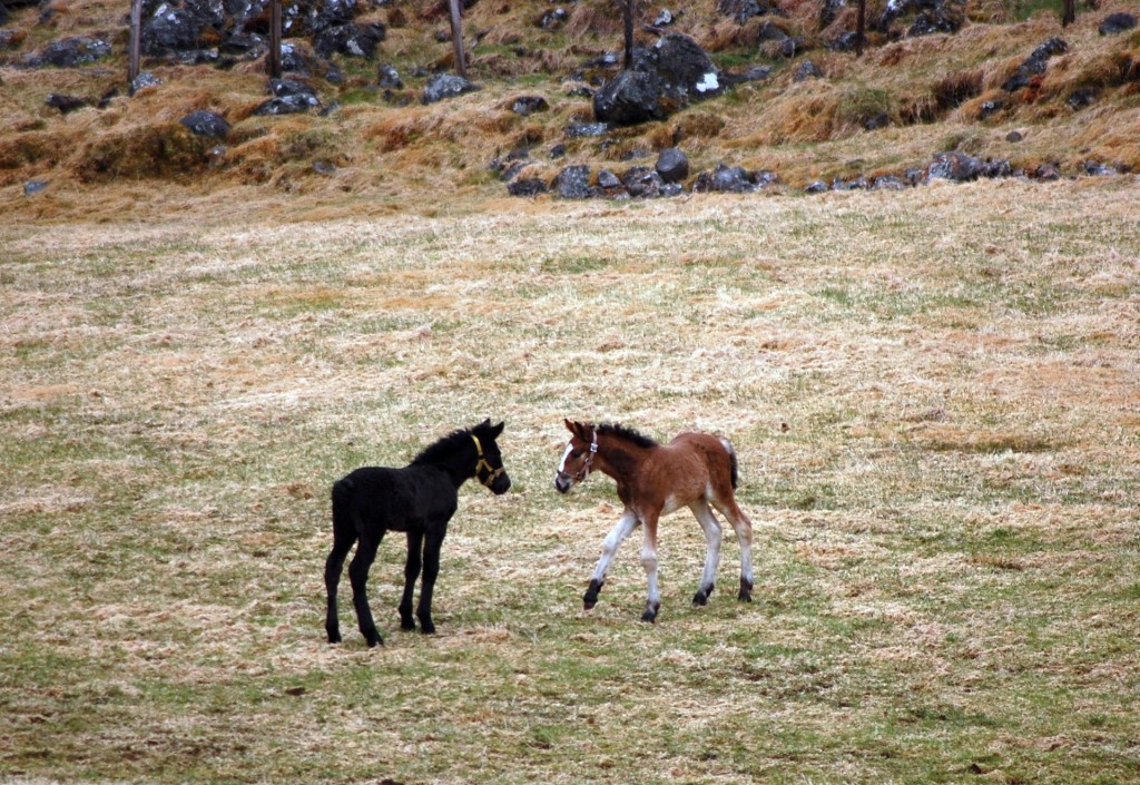 DSC_0047