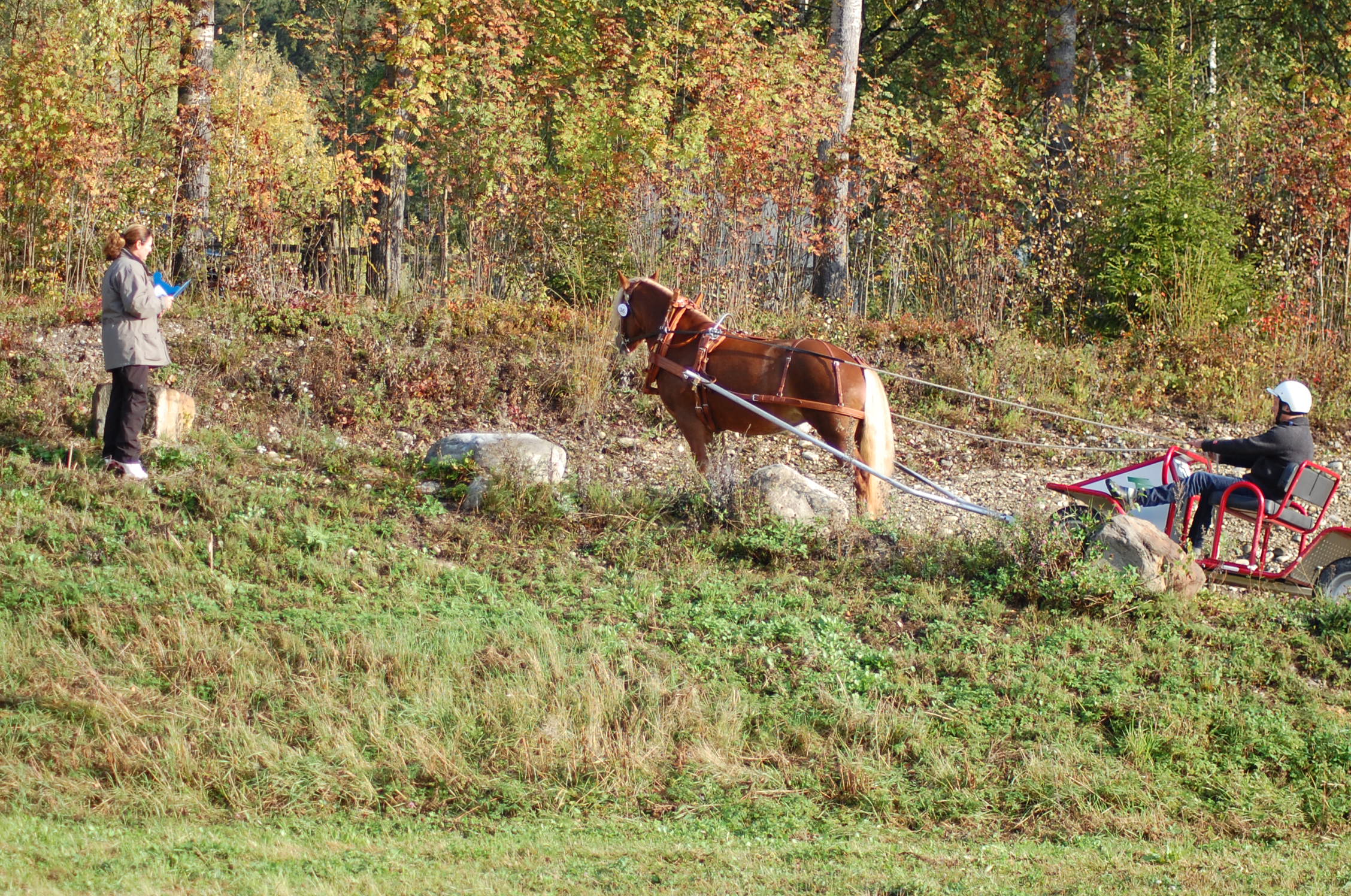 DSC_0211