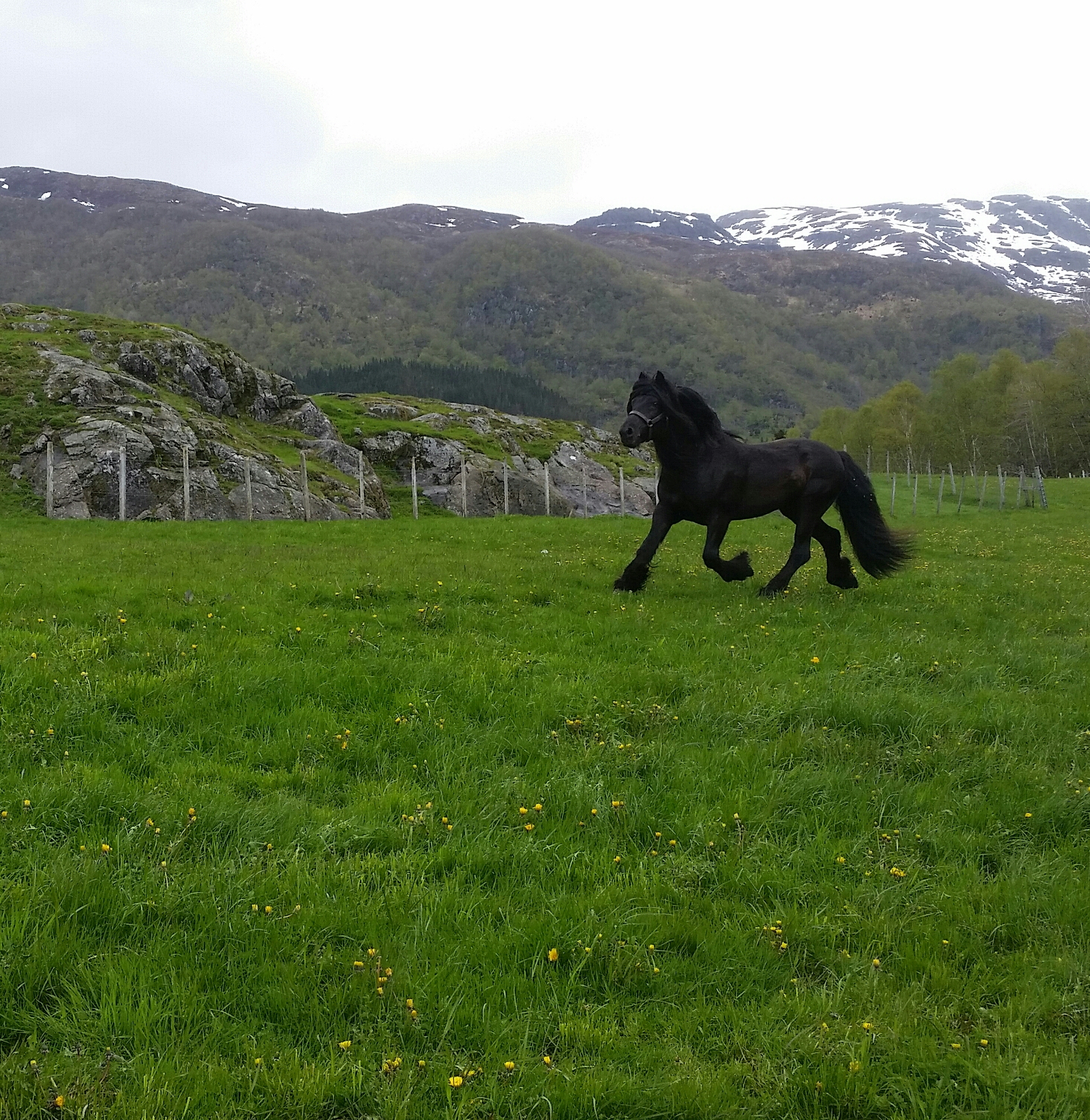 20150519_105308-1-1
