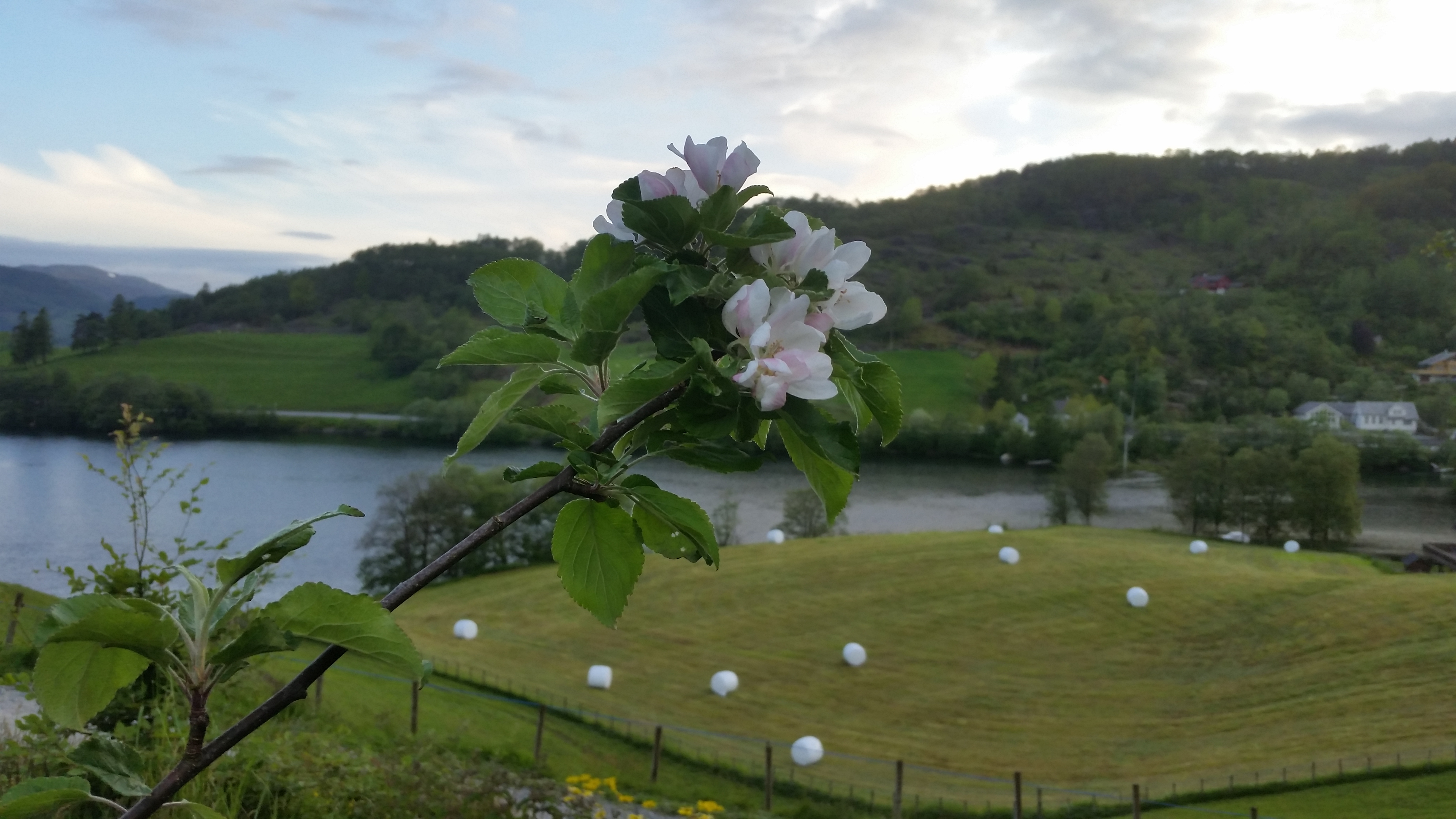 20150621_212154