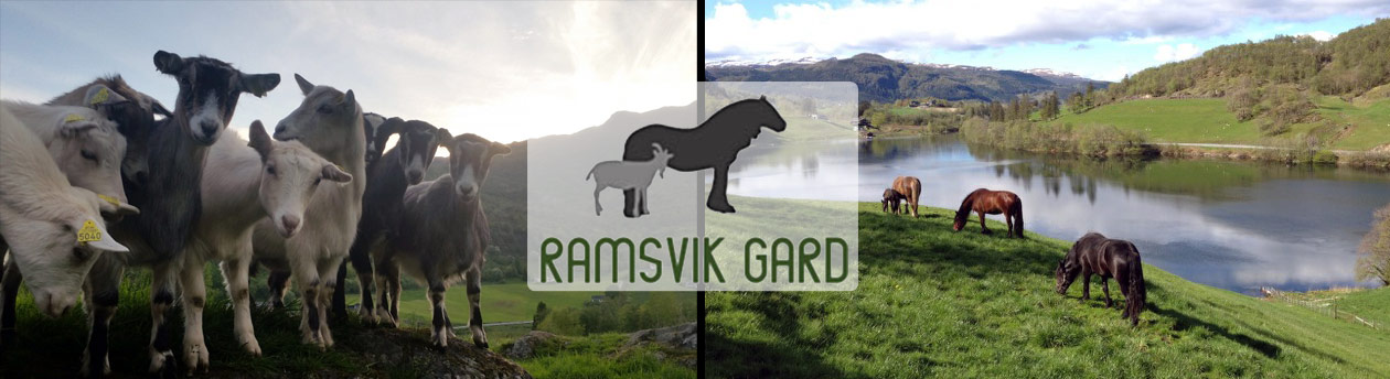 Velkomen til Ramsvik Gard